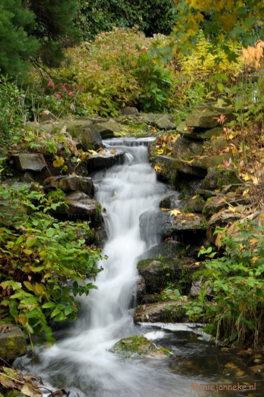 DSC_1276.JPG - Herfst in Arcen