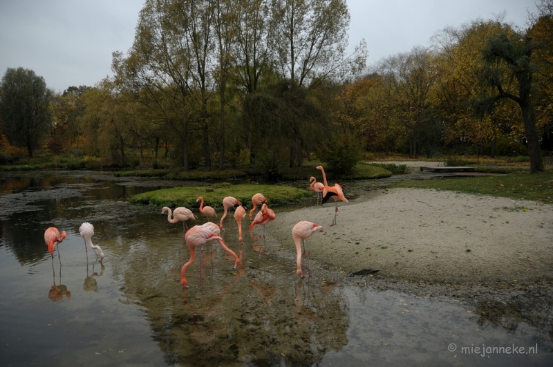 DSC_1345.JPG - Herfst in Arcen