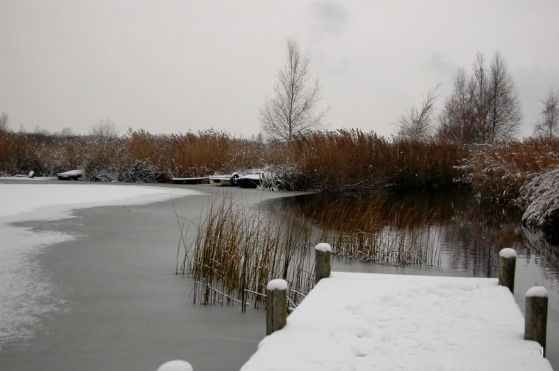 DSC_4949.JPG - Vroeg winter op de Peel