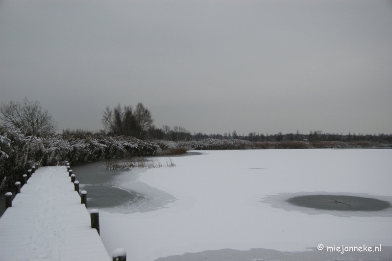 DSC_4954.JPG - Vroeg winter op de Peel