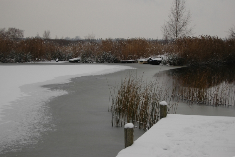 DSC_4963.JPG - Vroeg winter op de Peel