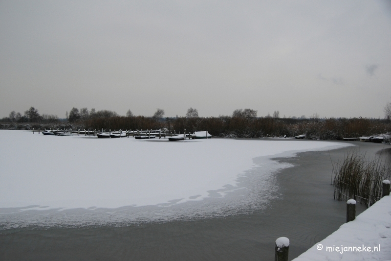 DSC_4966.JPG - Vroeg winter op de Peel