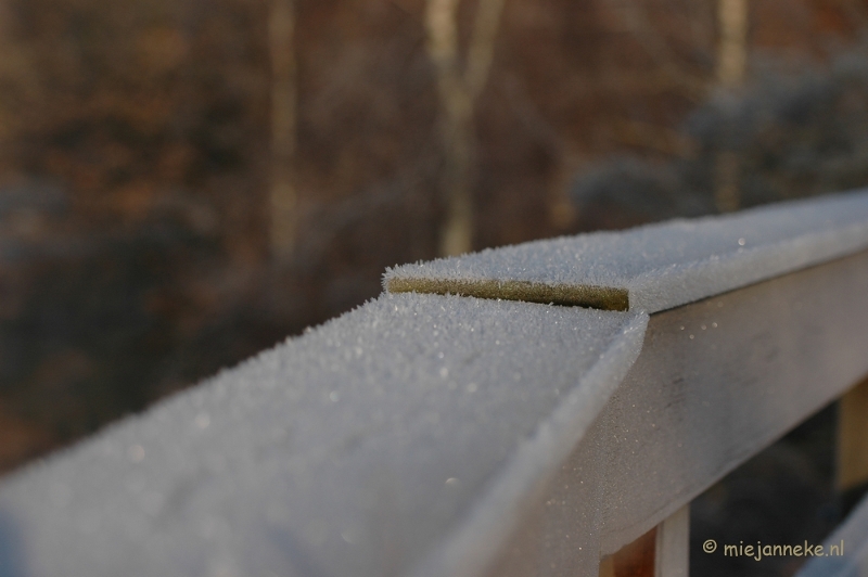 DSC_4542a.JPG - Touch of winter in de BB