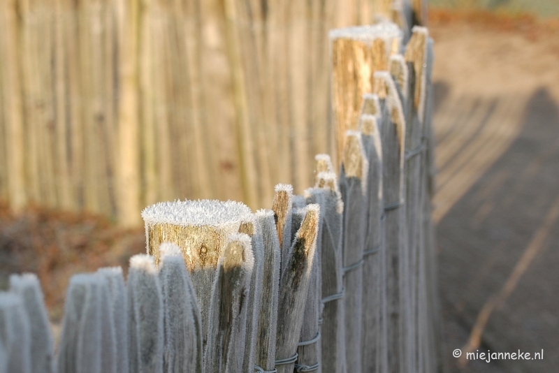 DSC_4566a.JPG - Touch of winter in de BB