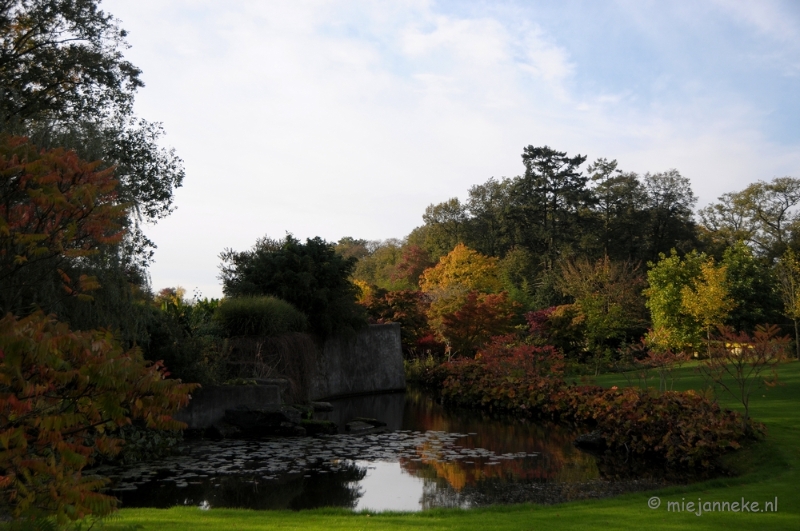 DSC_0414.JPG - Herfst in Arcen