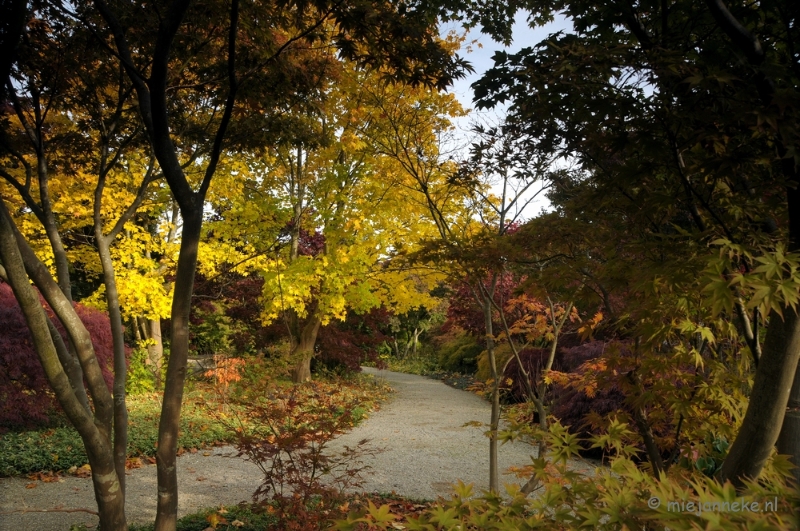 DSC_0449.JPG - Herfst in Arcen