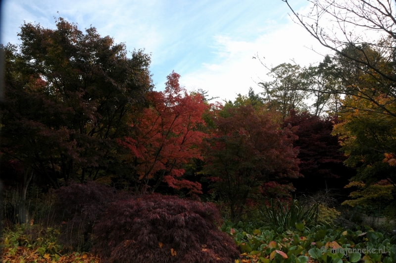 DSC_0468.JPG - Herfst in Arcen