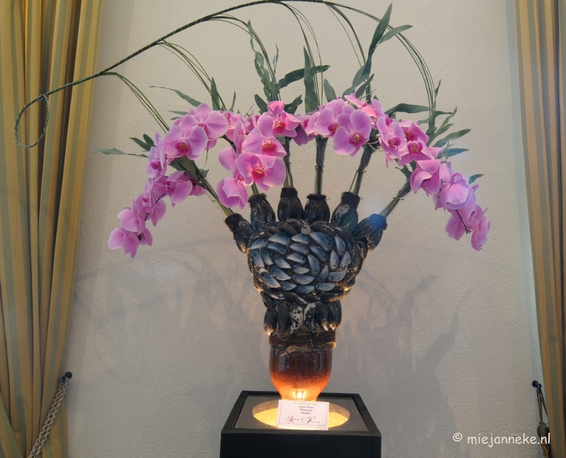 DSC_0237.JPG - Orchiade