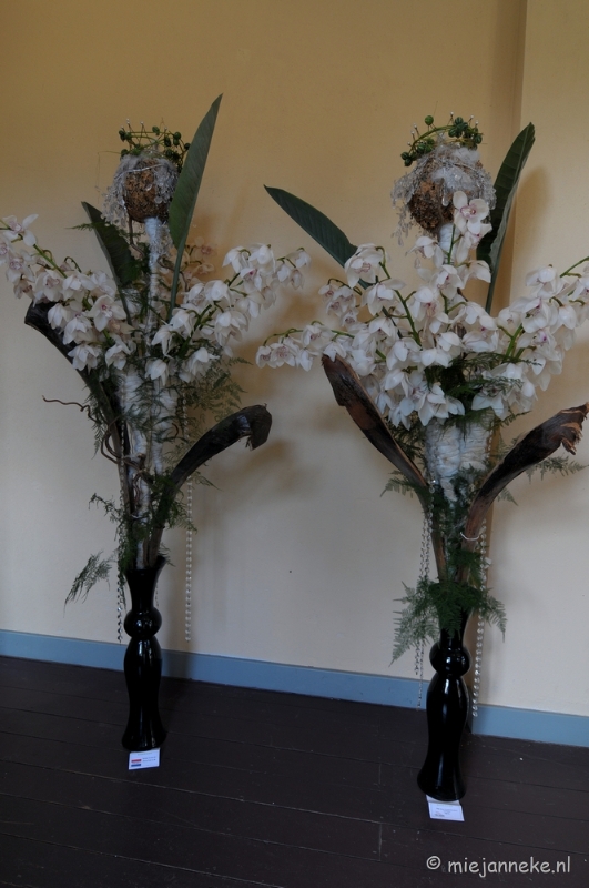 DSC_0185.JPG - Orchiade