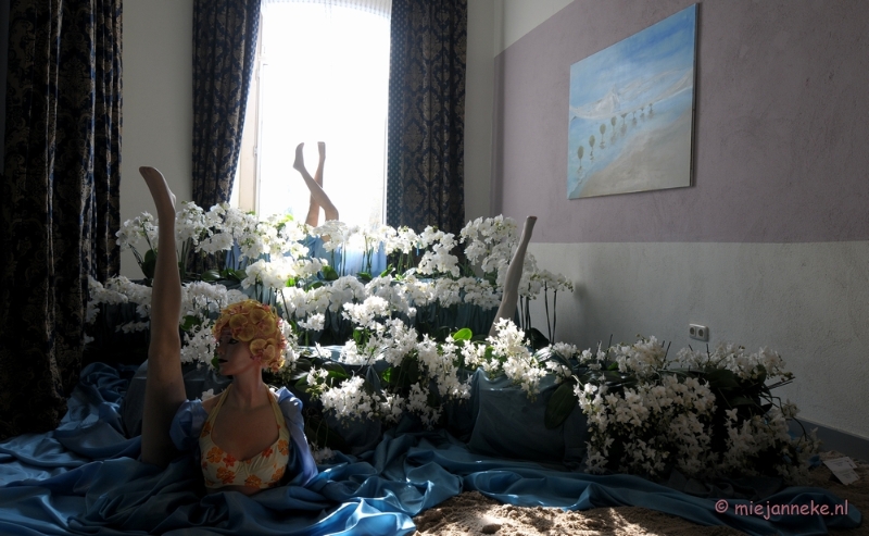 DSC_0242.JPG - Orchiade