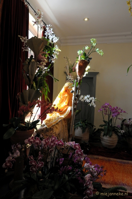 DSC_0291.JPG - Orchiade