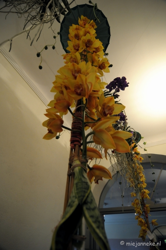 DSC_0371.JPG - Orchiade