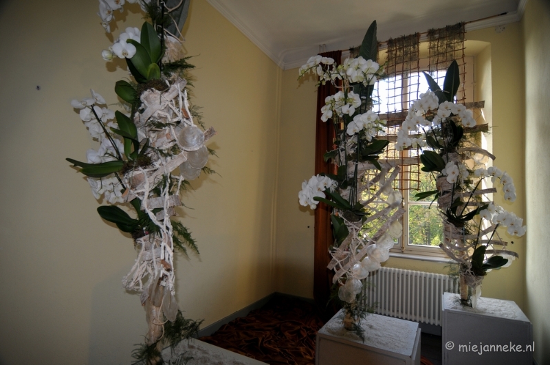 DSC_0392.JPG - Orchiade