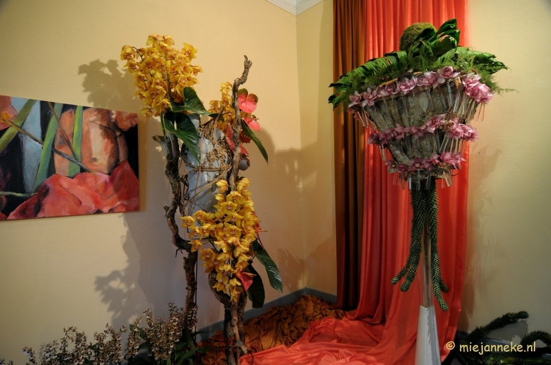 DSC_0393.JPG - Orchiade