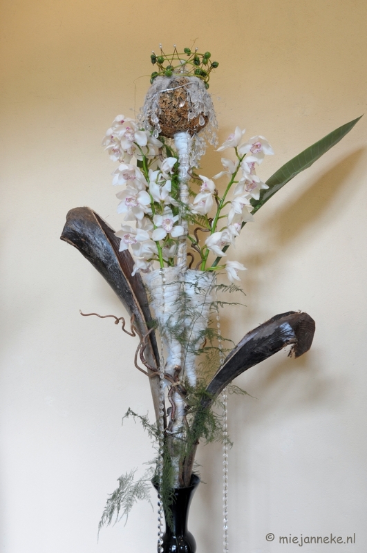 DSC_0682.JPG - Orchiade