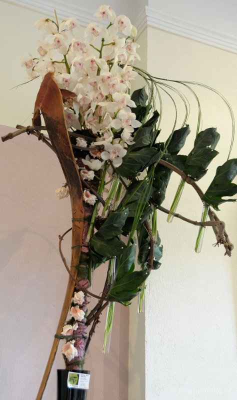 DSC_0719.JPG - Orchiade