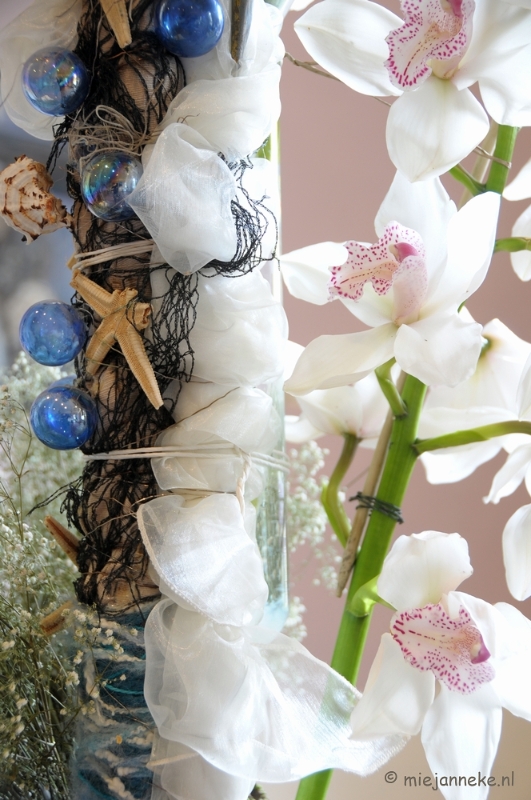 DSC_0737.JPG - Orchiade