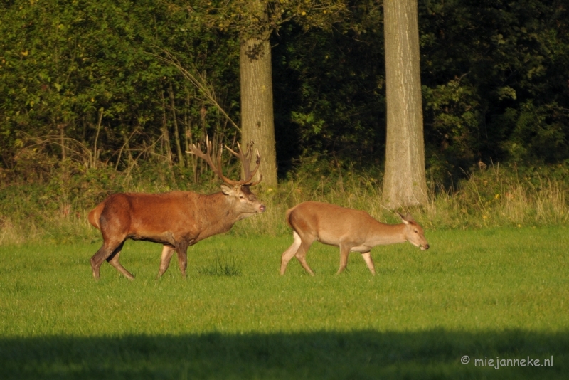 DSC_9518.JPG - En controleert