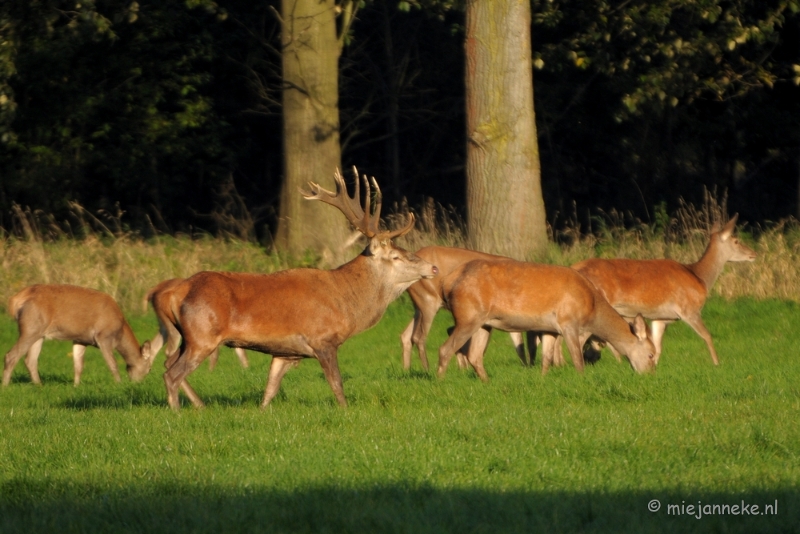 DSC_9613.JPG - Nog eens controleren