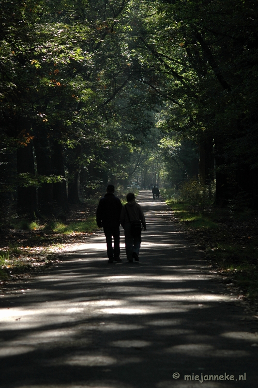 DSC_0586.JPG - Natuur op de Veluwe