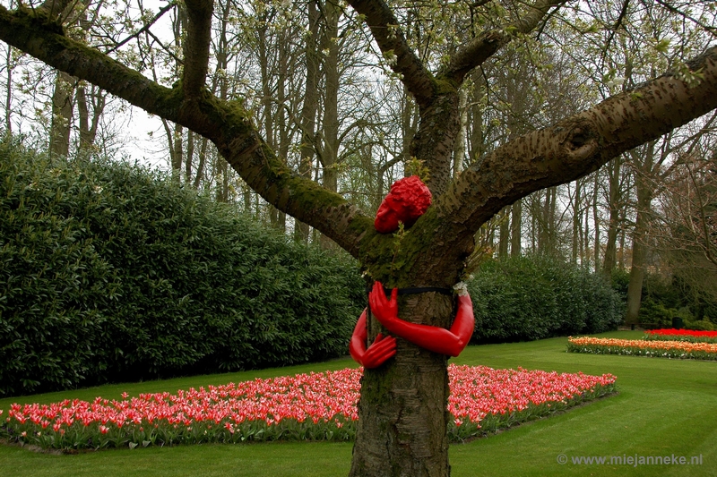 DSC_2423.JPG - Keukenhof 2011