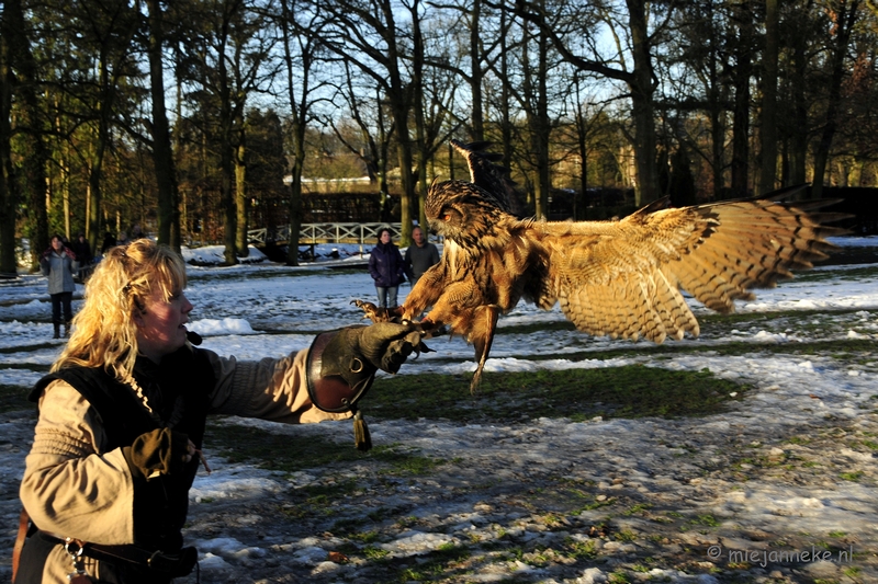 _DSC3520.JPG - Zon, sneeuw en vogels