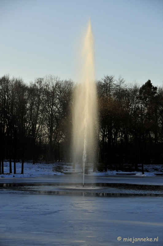_DSC3582.JPG - Arcen in het nieuwe jaar