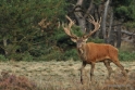 Landschap en Natuur 2011