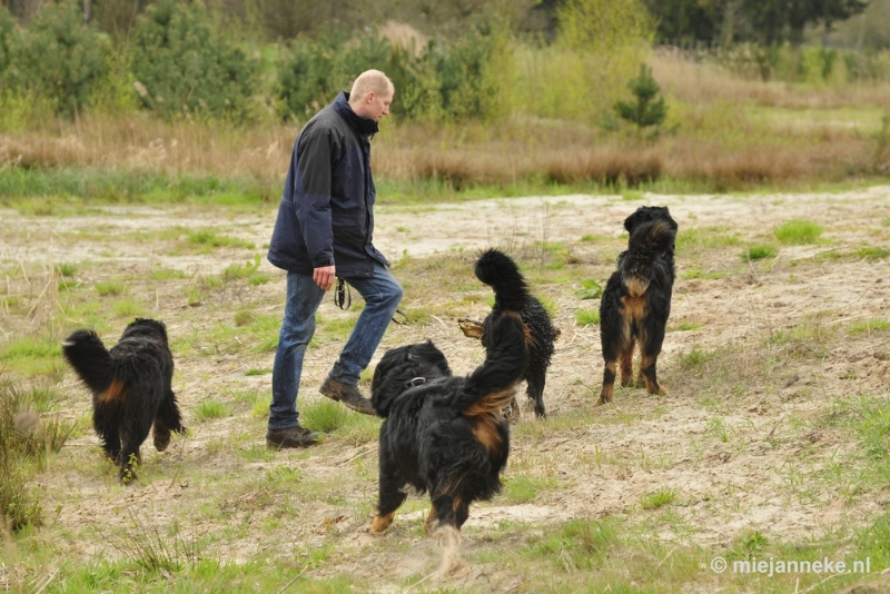 93 m.JPG - Berner Sennen Meeting Limburg