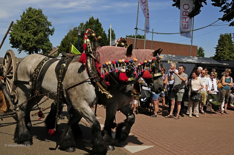 _DSC2494.JPG - Festeijnder 2012