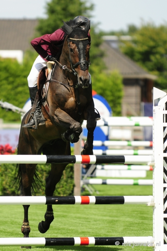 _DSC3250.JPG - Hippique Concours Valkenswaard