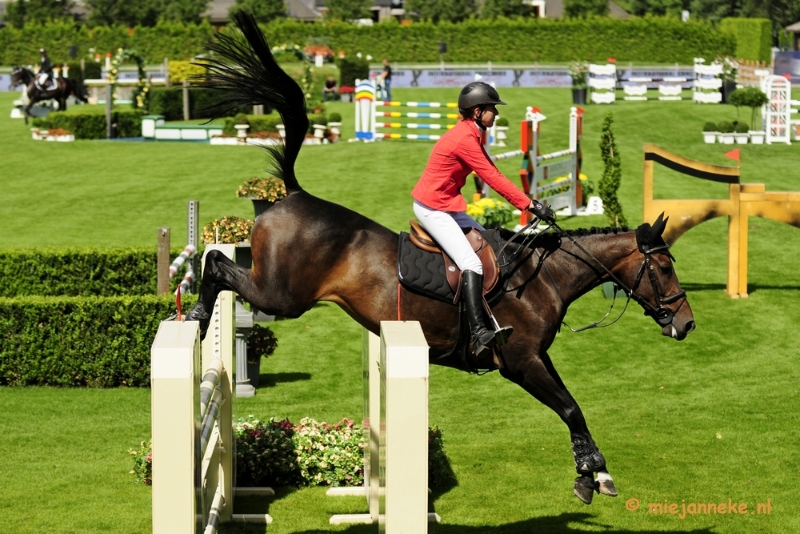 _DSC3340.JPG - Hippique Concours Valkenswaard