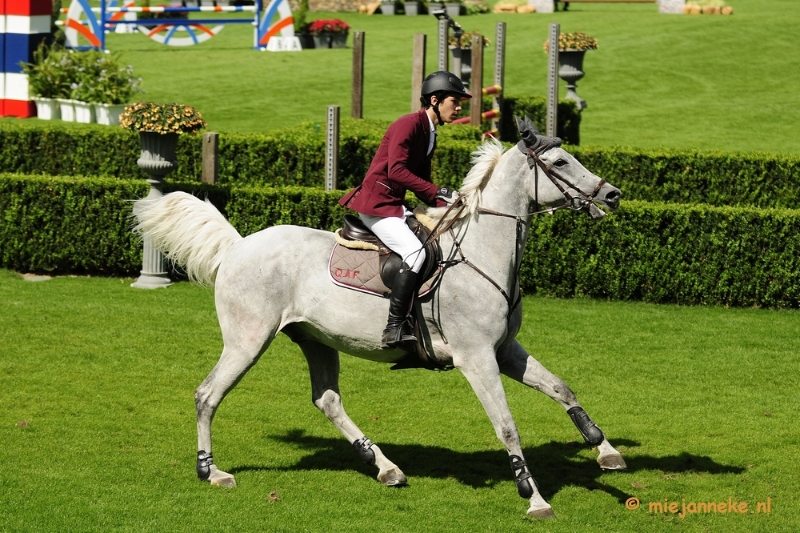 _DSC3426.JPG - Hippique Concours Valkenswaard