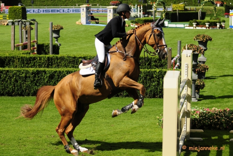 _DSC3591.JPG - Hippique Concours Valkenswaard