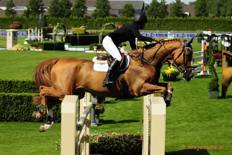 _DSC3593.JPG - Hippique Concours Valkenswaard