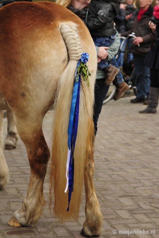 _DSC8742.JPG - Strao Ellemeet