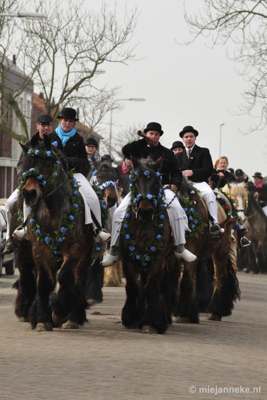 _DSC8746.JPG - Strao Ellemeet