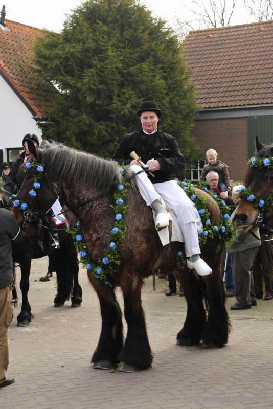 _DSC8750.JPG - Strao Ellemeet