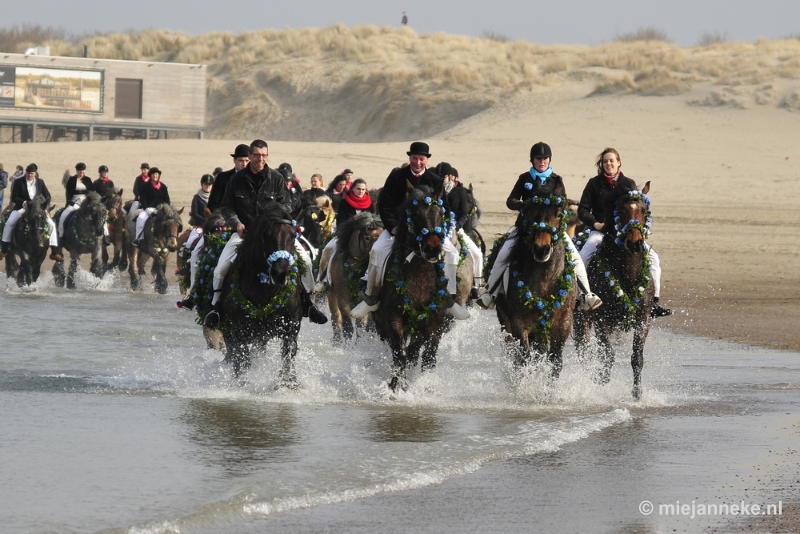 _DSC8797.JPG - Strao Ellemeet