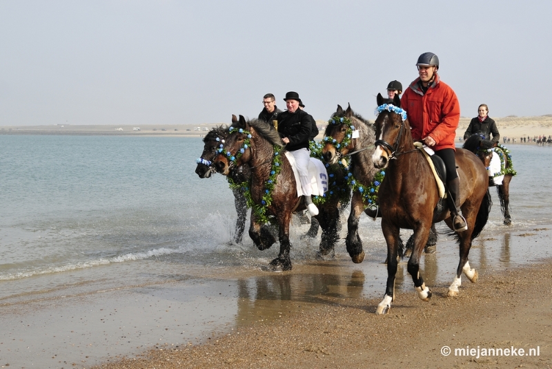 _DSC8799.JPG - Strao Ellemeet