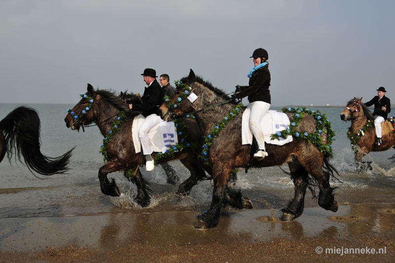 _DSC8802.JPG - Strao Ellemeet