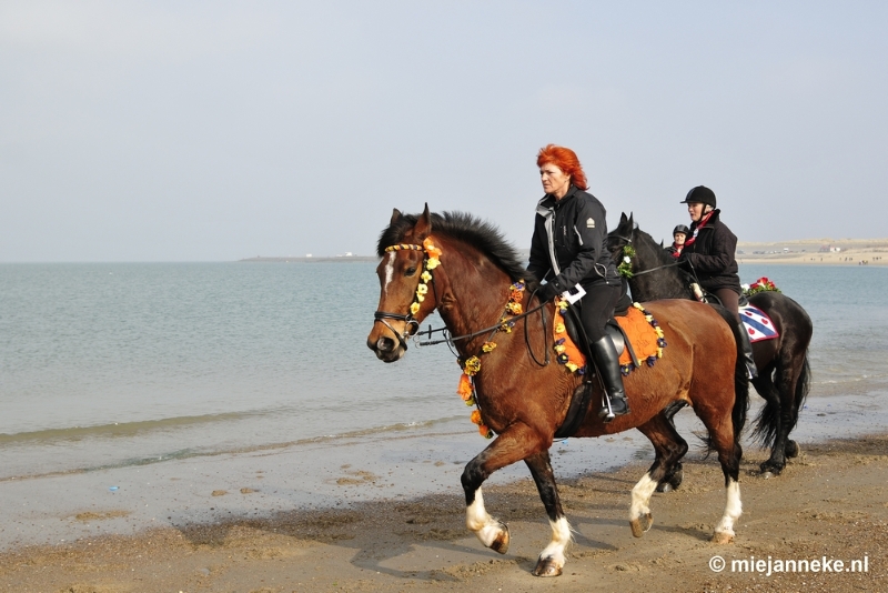 _DSC8808.JPG - Strao Ellemeet