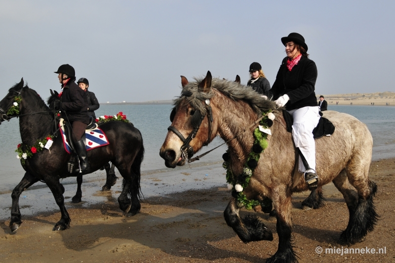 _DSC8809.JPG - Strao Ellemeet