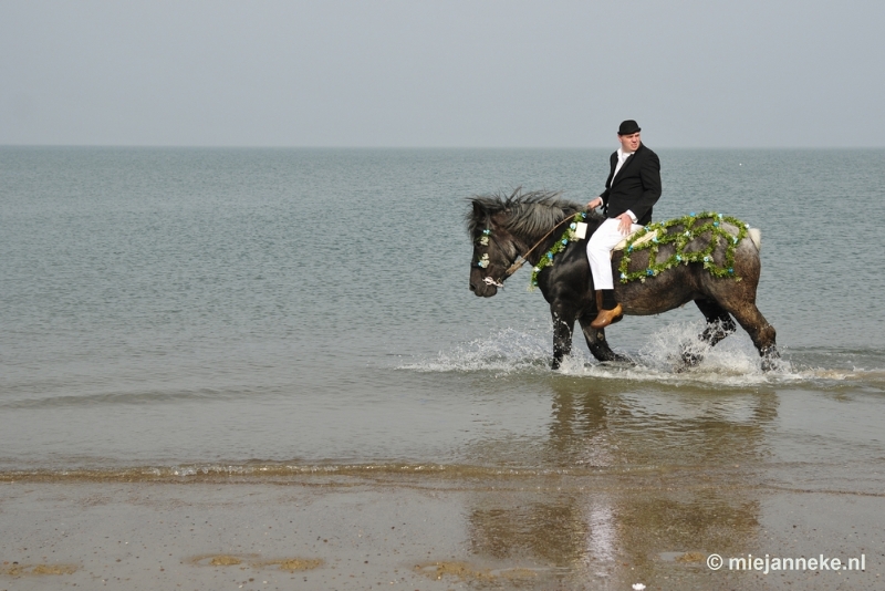 _DSC8810.JPG - Strao Ellemeet