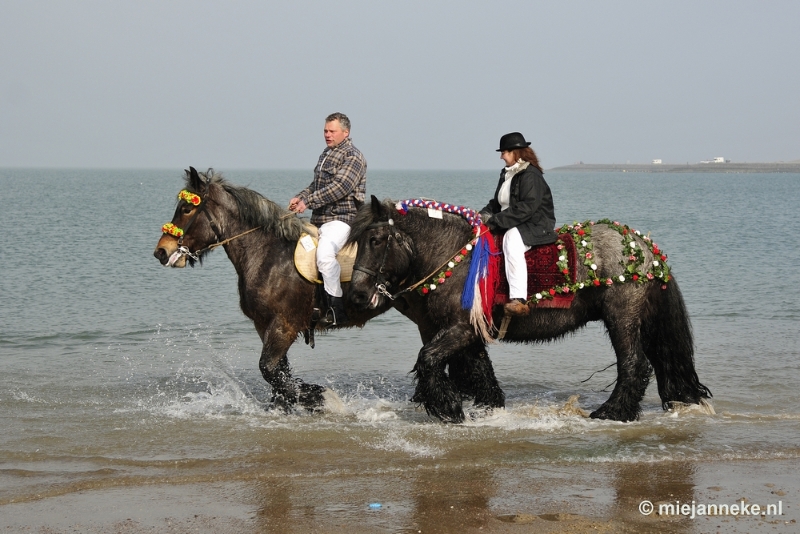 _DSC8812.JPG - Strao Ellemeet