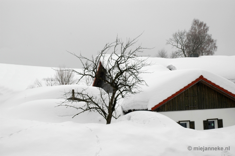 DSC_2919.JPG - Bayerisch Wald