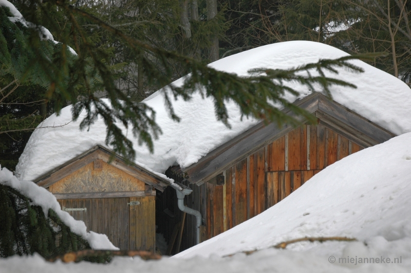 DSC_2940.JPG - Bayerisch Wald