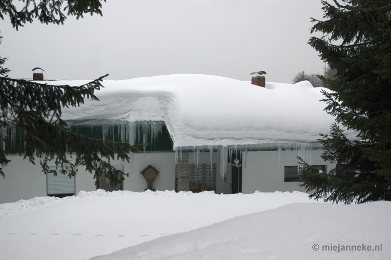 DSC_2941.JPG - Bayerisch Wald