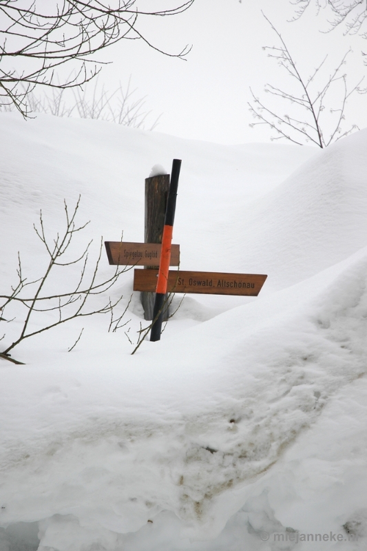 DSC_2945.JPG - Bayerisch Wald