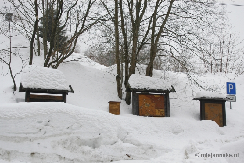 DSC_2946.JPG - Bayerisch Wald